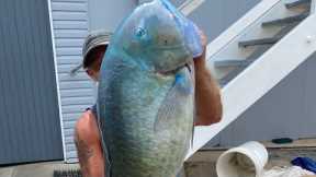 Black spot Tusky fever 🔥 more tips, tricks n some good size fish. Spread over 2 trips