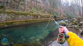 My first Trout of 2024! (Fly Fishing for Brook, Rainbow, and Brown Trout)