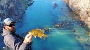 This River Was SPECIAL... Nonstop Action
