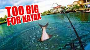 Big Tarpon Pulls Kayak Around (Catch And Cook)