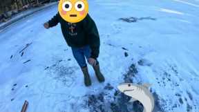 2024 Ice Fishing at the Buck Bus: Catching Togue (Lake Trout) on Thin Ice. #icefishing #laketrout