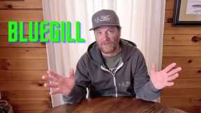 Fish Facts - BLUEGILL