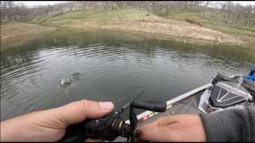 I have not Fished this Lake in Forever | Mixed Bag and 1 Toad