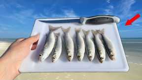 The MOST UNDERRATED Fish! (Catch Clean Cook) Mullet!