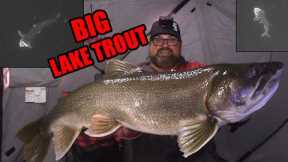 Watching BIG Lake Trout eat on the Underwater Camera! | Ice Fishing