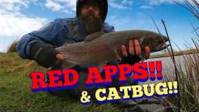 UK Stillwater FLY FISHING.. for BIG trout!! 1st Feb..