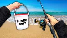 I Caught a SHARK and ATE IT (Catch and Cook)