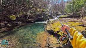 My first dry fly fish of the YEAR! (Fly Fishing a TINY Creek for Trout)