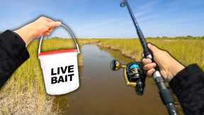 Eating Whatever I Catch.. Fishing the Saltwater Creeks (Catch and Cook)