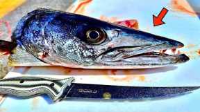 Catching and Cooking a WILD BARRACUDA from 300' DEEP!! *EPIC RESULTS*