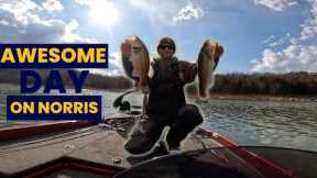 Bass fishing Norris Lake end of February 2024