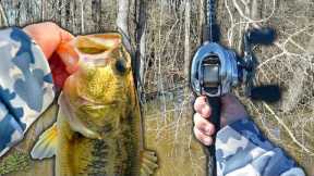 Fishing FLOODED Timber For MONSTER Bass (Giant Bag)