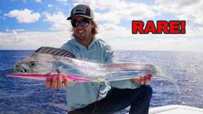 Catching STRANGEST FISH I've Ever Seen... (Catch/Clean/Cook)