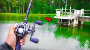 This TROPHY Lake is LOADED w/ GIANT Bass (Frog Fishing)
