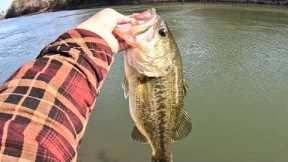BIG BASS ARE HERE! | Lake Norman Bass Fishing (HOT HOLE)