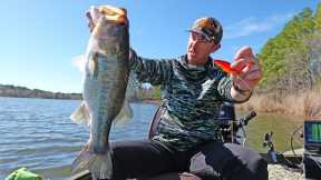 Fishing this Reaction Lure Gets Big Bass Every Year!