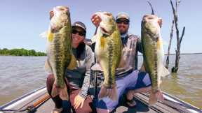 Insane Crankbait Bite! Fishing Lake Fork, Texas!