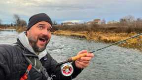 The Creek Behind Camp was UNBELIEVABLE!! (Fly Fishing Wild & Native Trout)