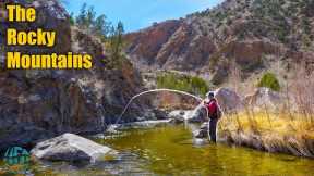 FLY FISHING SOME OF THE BEST WATER IN AMERICA! || 4 Days of Winter Trout Fishing
