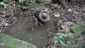 Catch Fish, Wild Food, Catch and Cook: Alone Survival | EP.226: Survival Alone | EP.226