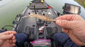 Kayak Bass Fishing at Lake Berryessa, Capell Cove