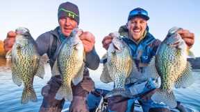 LIVE BAIT VS ARTIFICIAL LURES Crappie Fishing on LAKE GUNTERSVILLE!