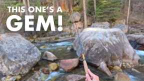 Amazing Roadside Creek Fishing in the Mountains! (Tenkara Fly Fishing)