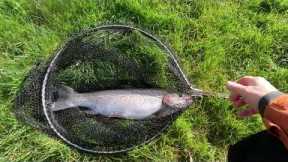 #83 : Fly Fishing at Rockbourne Trout Fishery
