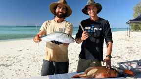 Cooking Australia's BEST REEF FISH! (Back 2 Basics) Ep: 24