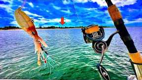 Fishing this *NEW* SQUID JIG! in the BAY for LUNCH! [Catch, Clean, Cook]