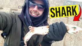 I CAUGHT A SHARK - DAY 24