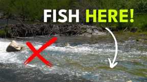 How to Find Trout In A River — Pocket Water 101 | Module 8, Section 2