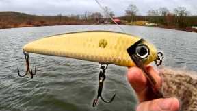 March MUSKY Madness!! Fish Shallow for Early Spring MONSTERS