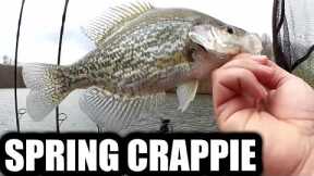 Fishing For Crappie, Bass, and Trout All in ONE LAKE! (Early Spring)