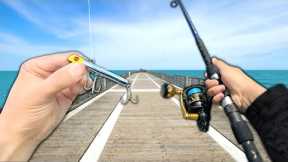 INSANE Pier Fishing!! Eating Whatever I Catch (Catch and Cook)