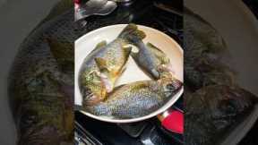 Catching Fish for Family Dinner