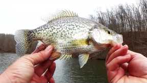 Exploring & Fishing a NEW LAKE! Can We Catch More Fish? (Early Spring)