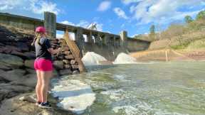 This GIANT SPILLWAY was STACKED and the Slab Queen SMOKED THEM! (*CATCH and COOK* Easy Fish Tacos!