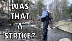 How to Detect Strikes While Fly Fishing Nymphs