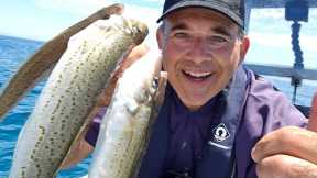 Fishing For the Fish I Love the most! Catch n Cook for Family