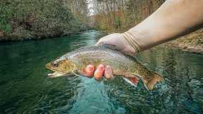 Should These Fish Count? (Controversial Fly Fishing Opinion)