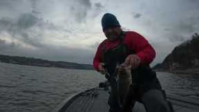 Table Rock Lake Bass Fishing Report