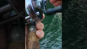 The Laziest Way To Catch Fish! #jesus #fishing #lake #boat #outdoors #appalachianmountains