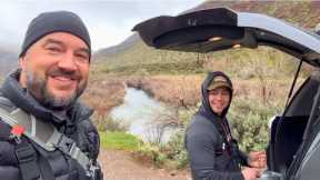 We Caught at Least 50 Brown Trout!! (Fly Fishing Small Streams)