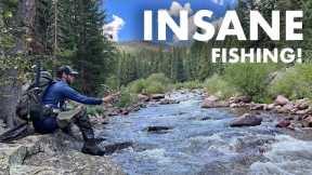 I Found the REAL Dream Stream! (Tenkara Fly Fishing)