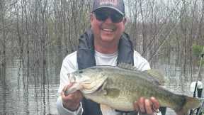 Bois D’ Arc lake already producing GIANTS!!!!!