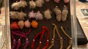 A Beginner's Guide to Fly Fishing for Stocked Trout