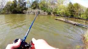 My First Bass on a Crankbait This Year! Spring Bass Fishing With Lures