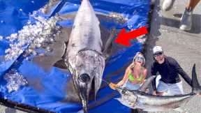 Swordfish off Marathon {catch clean cook}