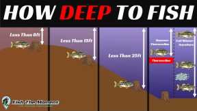 The Most Important Video About Offshore Bass Fishing You Will Ever Watch (Probably…)